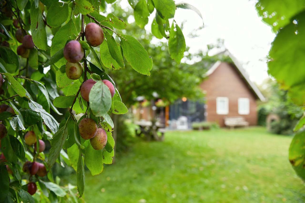 B&B Houtstee Veendam Ngoại thất bức ảnh